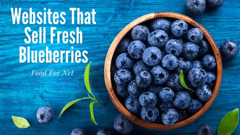 where to buy fresh blueberries